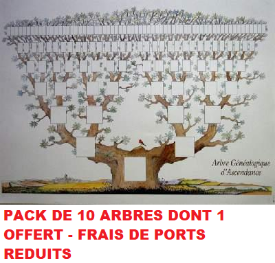 RougeGorgePack10.png