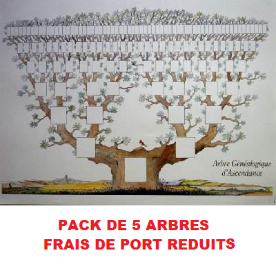 RougeGorgePack5.png
